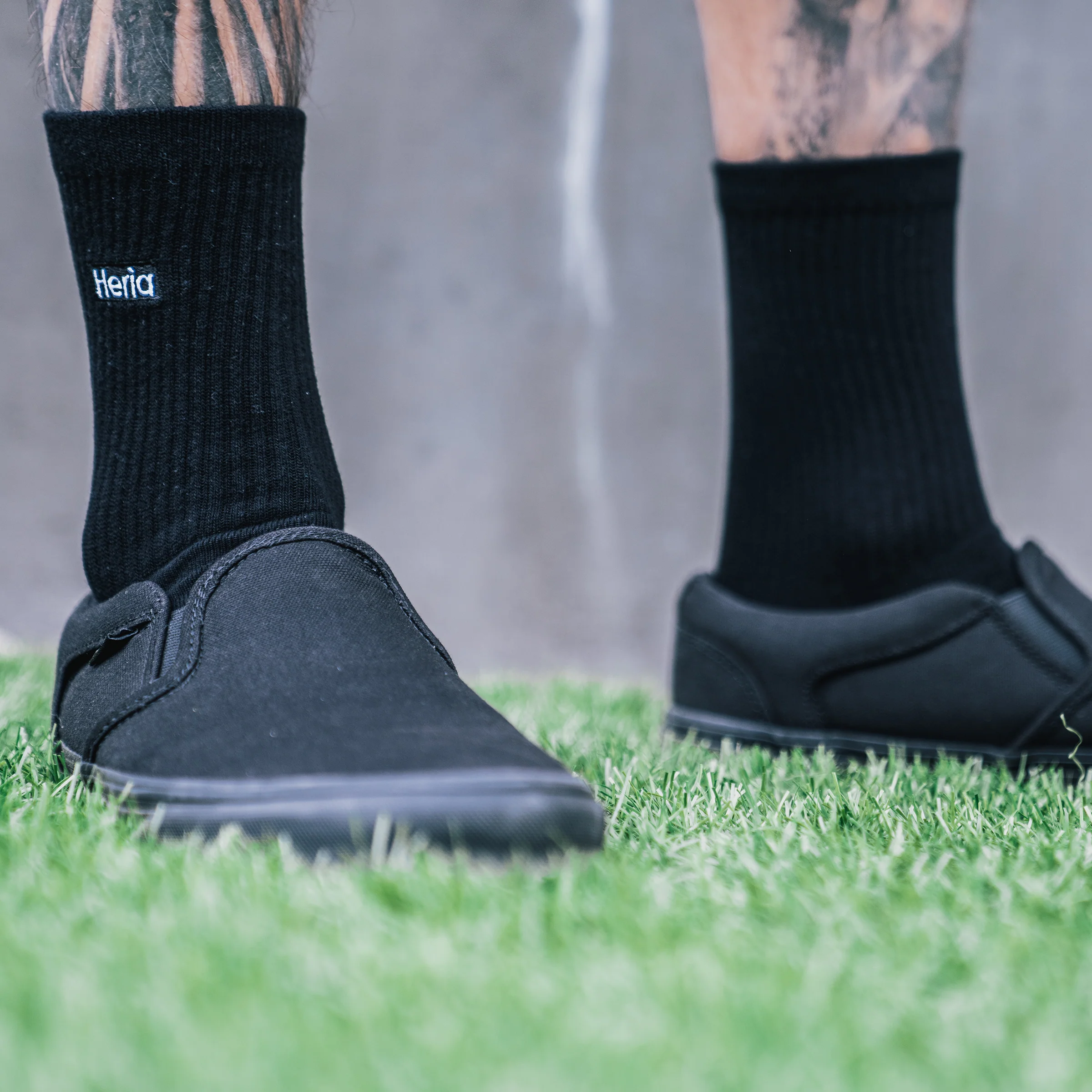 Heria Socks - Black - Image 3